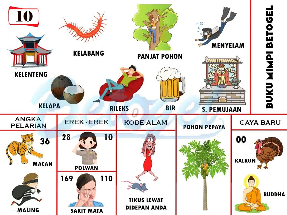 buku mimpi erek erek togel 10