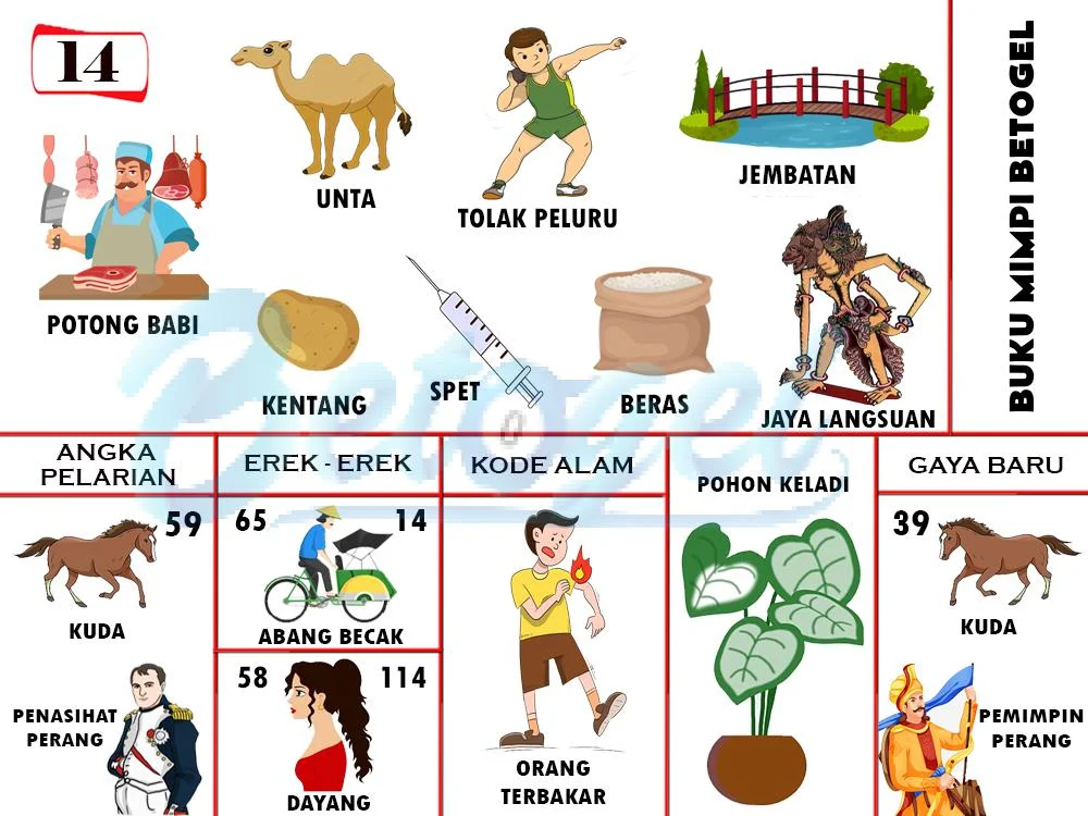 buku mimpi erek erek togel 14