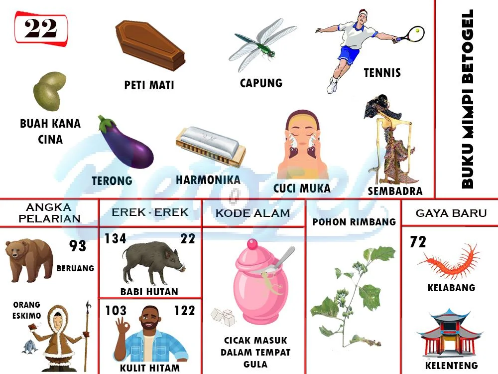 buku mimpi erek erek togel 22