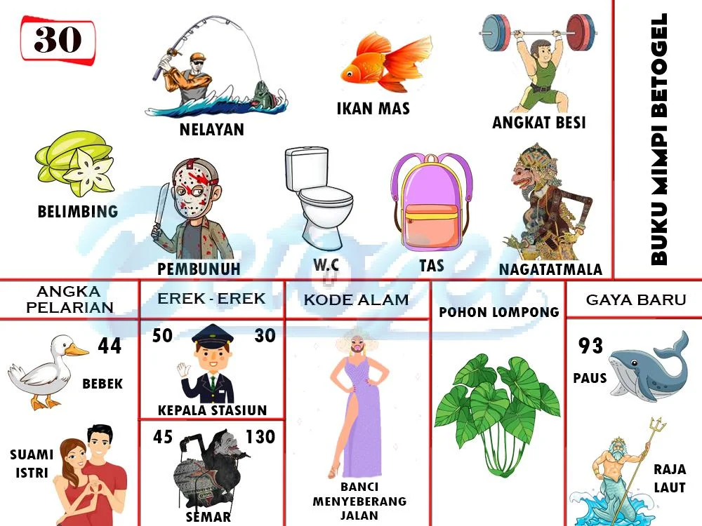 buku mimpi erek erek togel 30