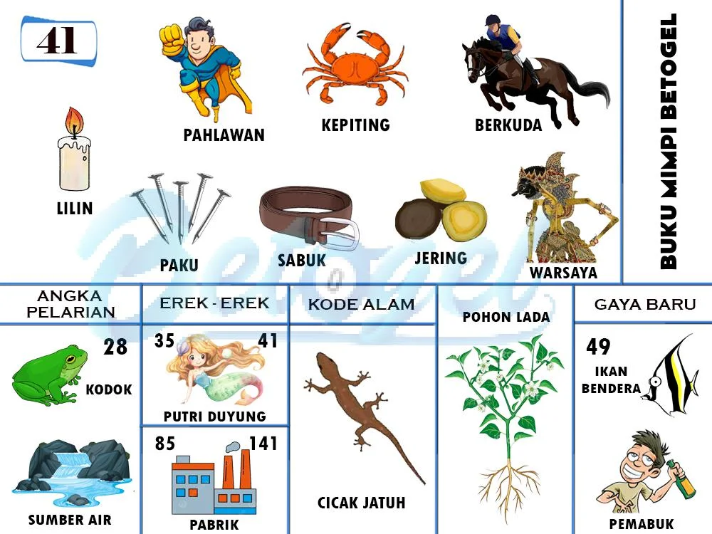 buku mimpi erek erek togel 41