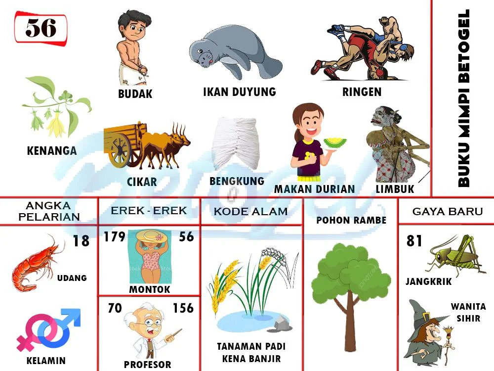 buku mimpi erek erek togel 56